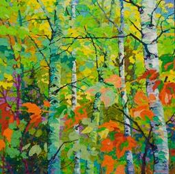 Aspens at Dusk II  - 24" x 24"