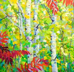 Autumn Birches and Sumacs - 30" x 30"
