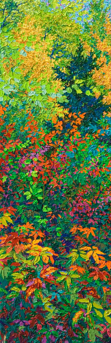 Balaams Wood - Greenwood Glory - 72" x 24"