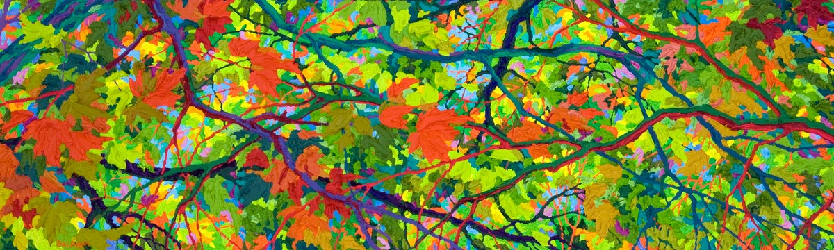 Balaams Wood - Reaching Out LO Web