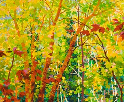 Balaams Wood - Spring Cherry Birches - 30" x 36"