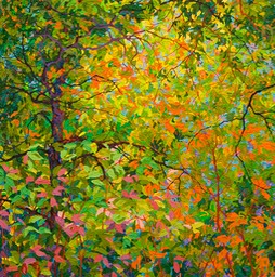 Balaams Wood - The Way Through Balaams Wood - 40" x 40"