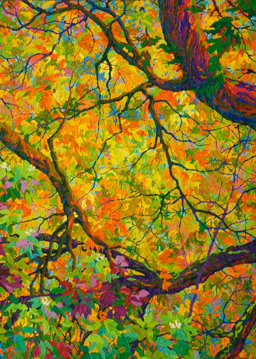 Balaams Wood Autumn Dance 