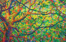 Balaams Wood Heart of Oak II LO