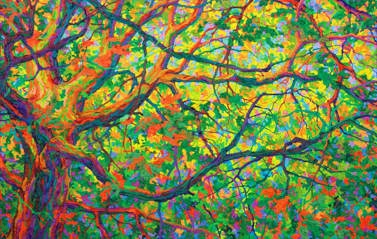 Balaams Wood Heart of Oak II LO