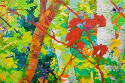 Close Up Stand of Birches LO