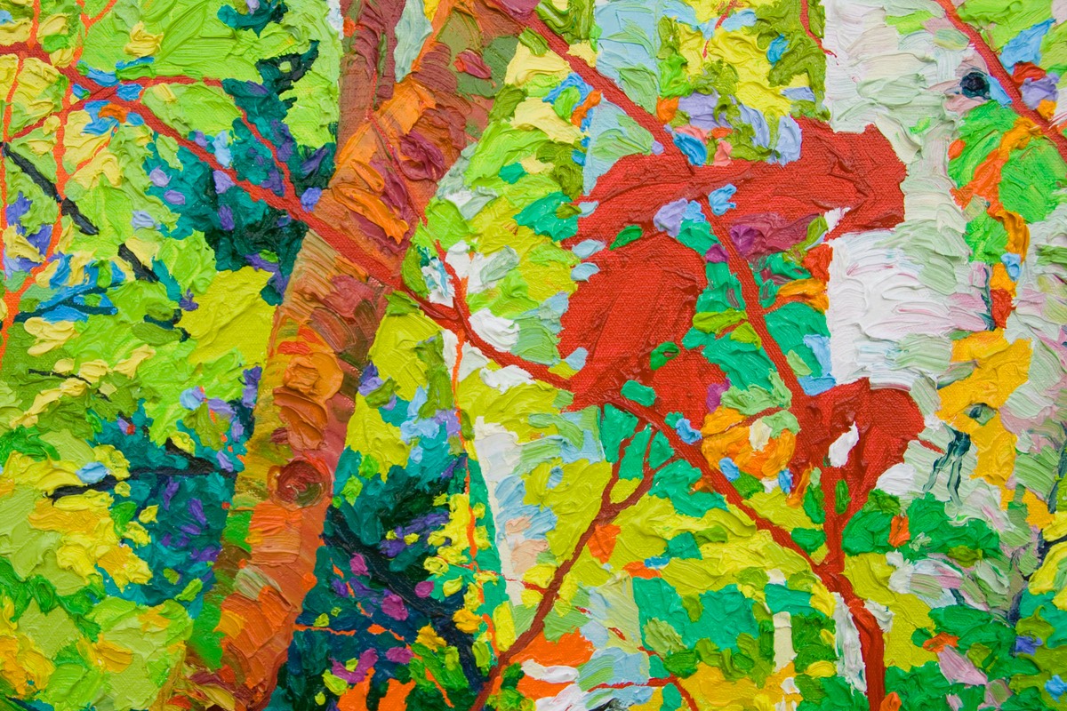 Close Up Stand of Birches LO