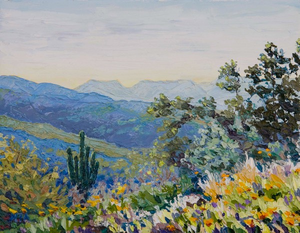 Crest Overlooking Canyons near Roosevelt