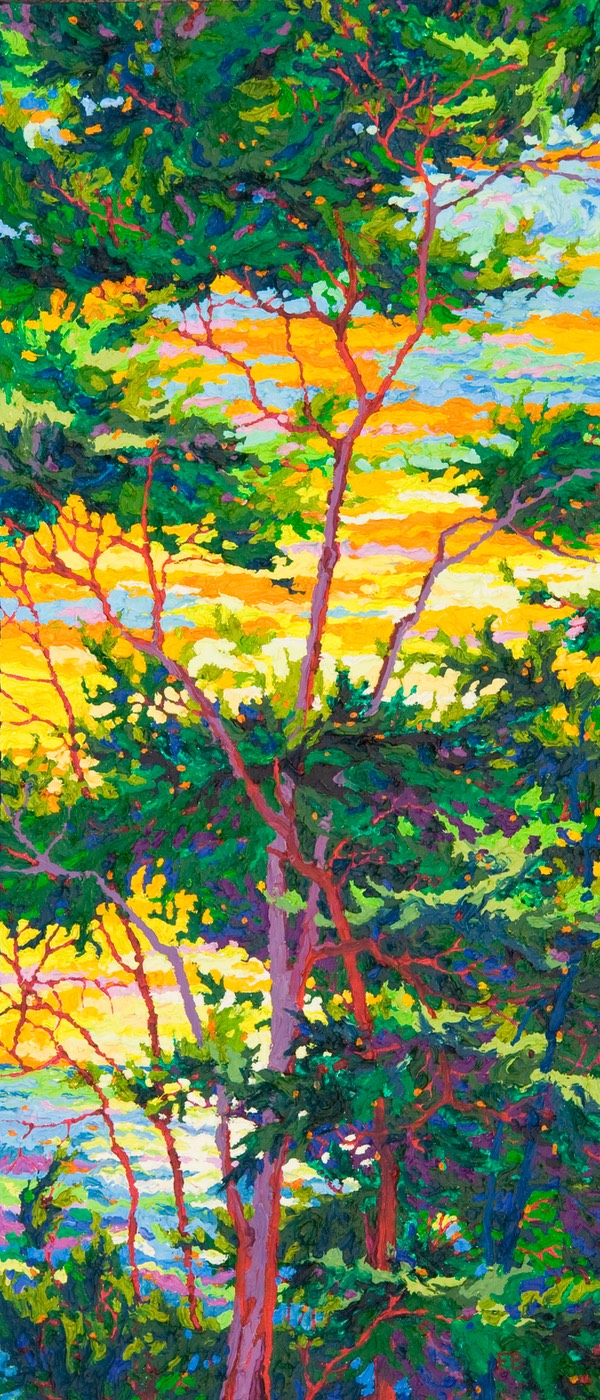Cypress at Pebble Beach II - 32" x 14"