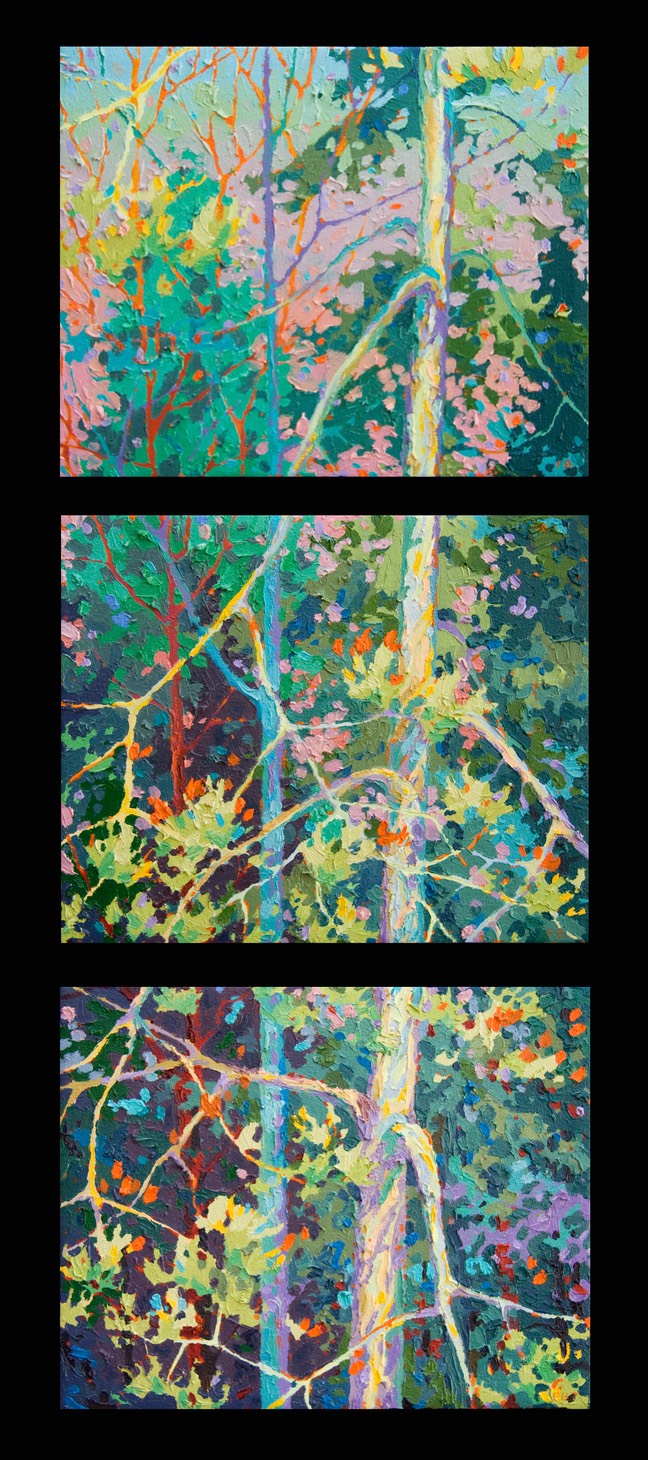 Evening Gems II - Triptych