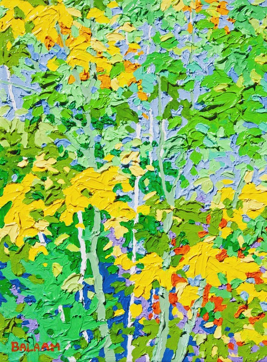 Gem - Aspens at Slide Lake LO