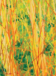 Gem - Santa Fe Canyon Preserve Marsh II LO