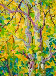 Gem - Santa Fe Canyon Preserve IV - 9" x 12"