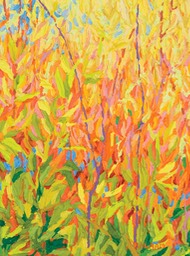 Gem - Santa Fe Canyon Preserve Marsh III LO