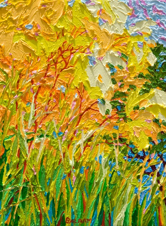 Gem - Santa Fe Marsh  I - 12" x 9" 