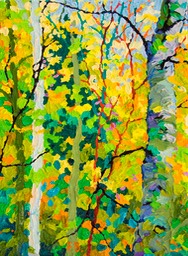 Gem Santa Fe Canyon Preserve II LO