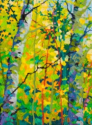 Gem Santa Fe Canyon Preserve I Hi Lo Web