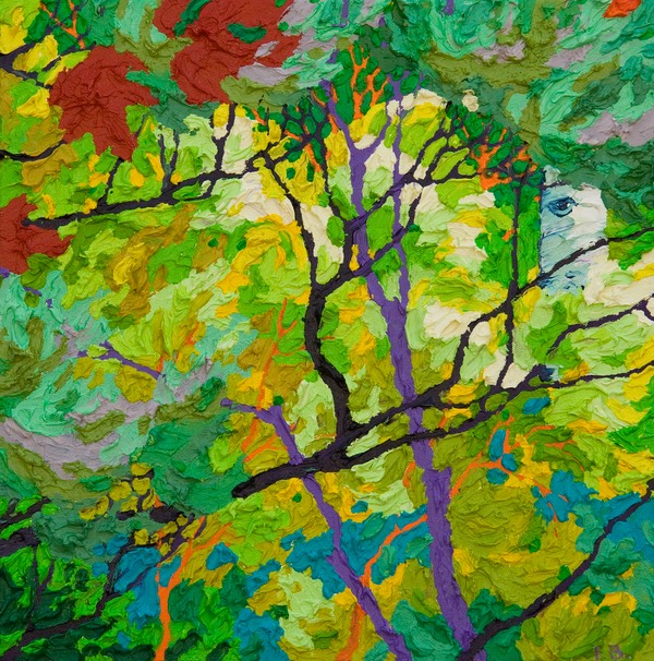 Glimpse - Evening Song Lone Aspen I LO