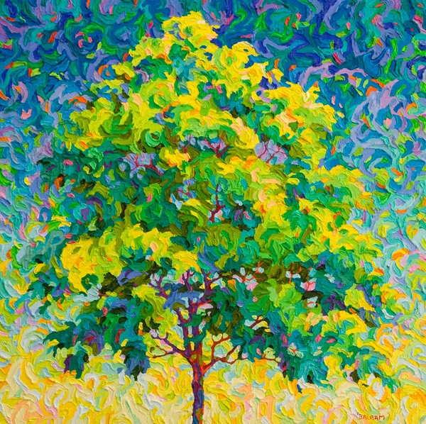 Hadrians Sycamore - Polo - 24" x 24"