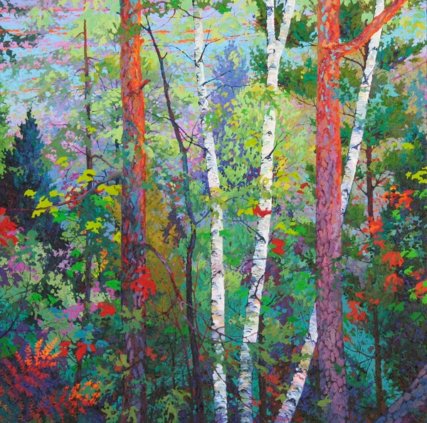 Three Birches 5 ft x 5 ft