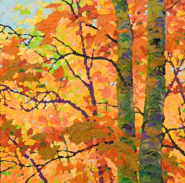 In Autumn Glory II - Glimpse - 13 " x 13"