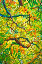 Looking Up To Balaams Wood  -  36" x 24"