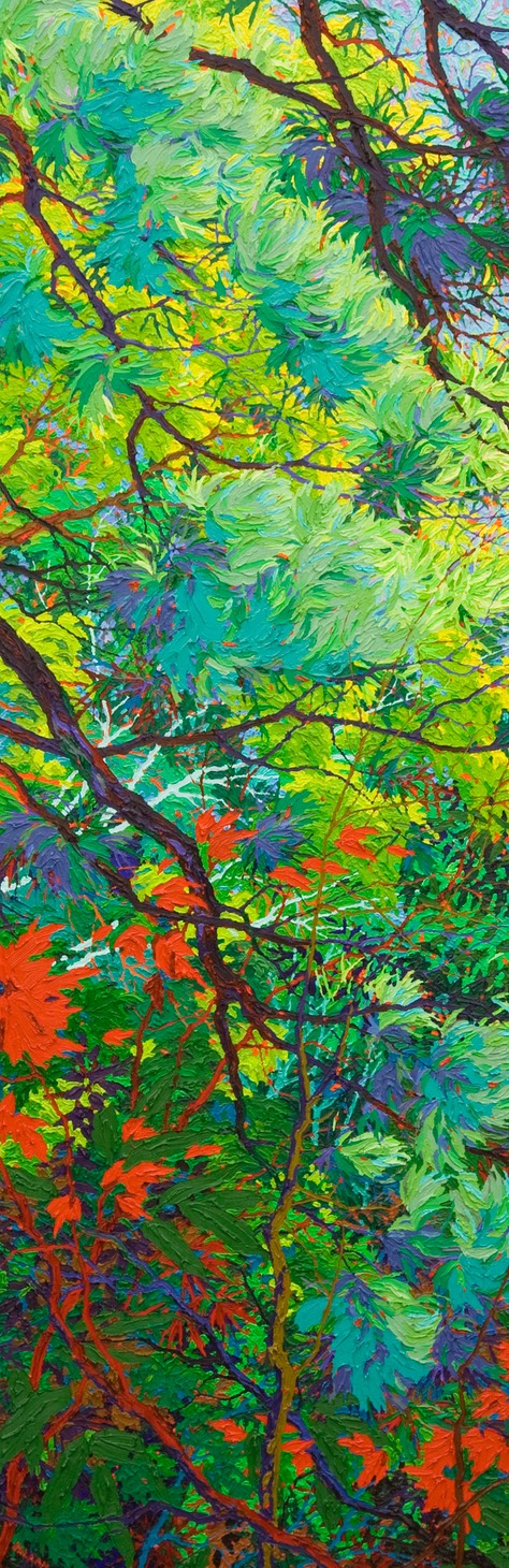 Green Doorways - Pine Shadows  - 72" x 24"