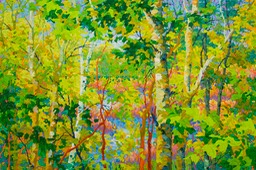 Santa Fe Canyon Marsh LO