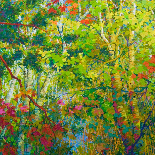 Santa Fe Canyon Preserve - Wetland Santa Fe Canyon LO Web