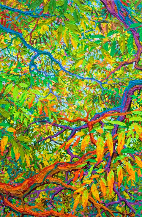 Shelter of Balaams Wood LO Web