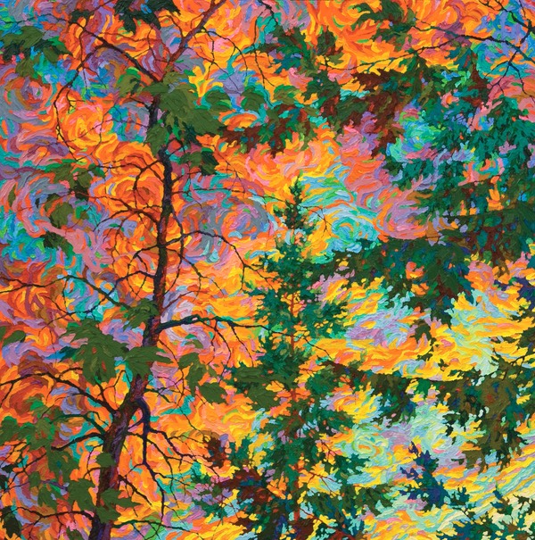 Southwest Skies II  - 46' x 46'