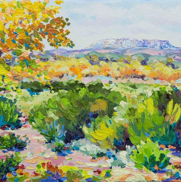 Zuni Landscape NM LO